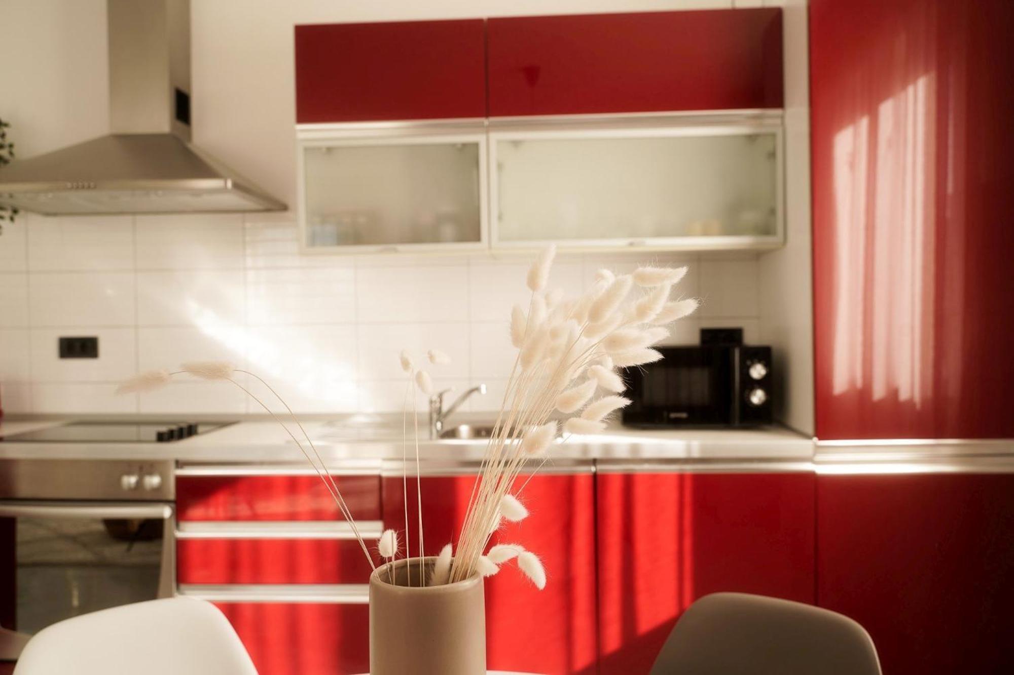 Dandelion Apartment Rovinj-Free Bikes 외부 사진