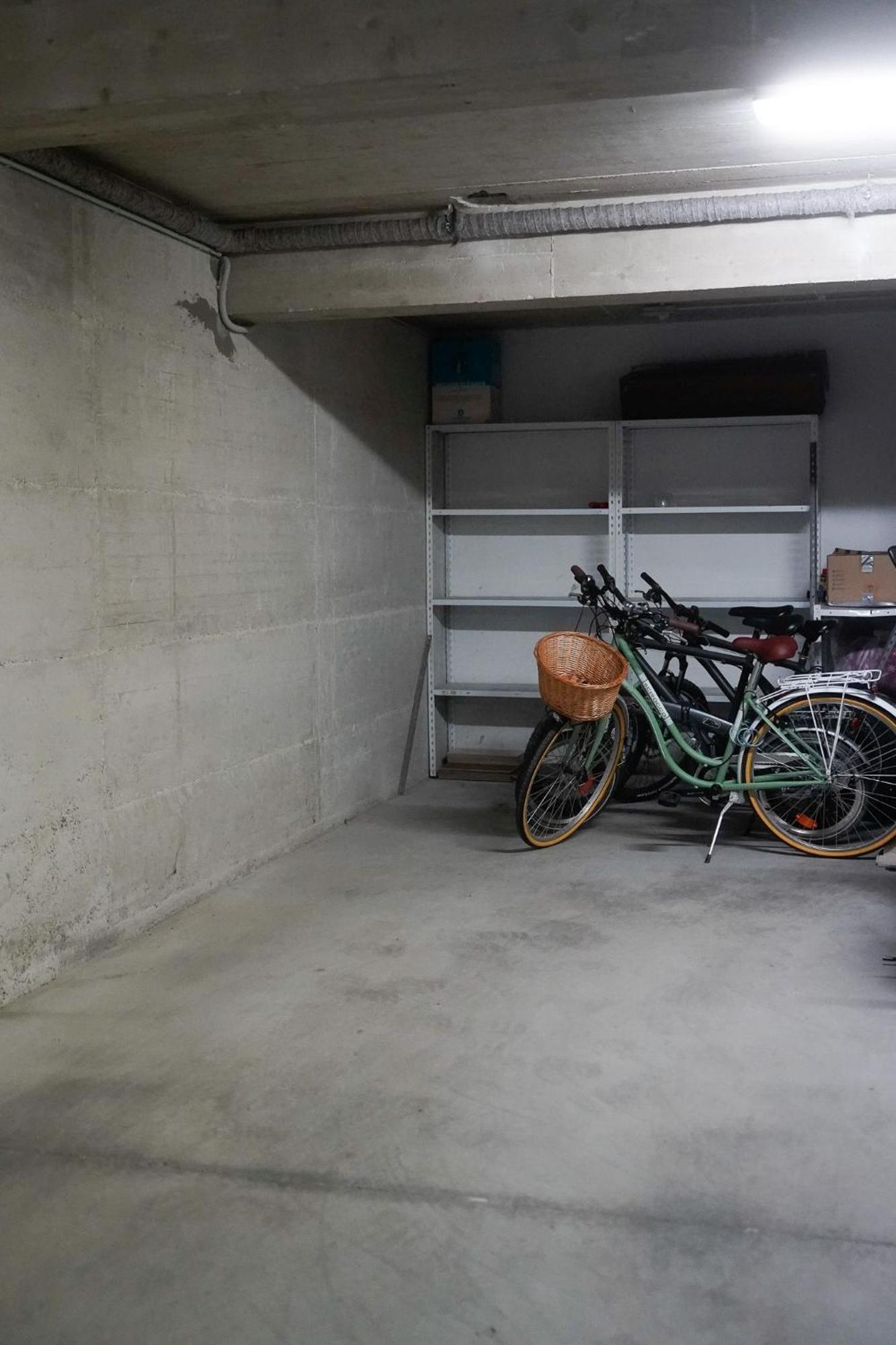 Dandelion Apartment Rovinj-Free Bikes 외부 사진